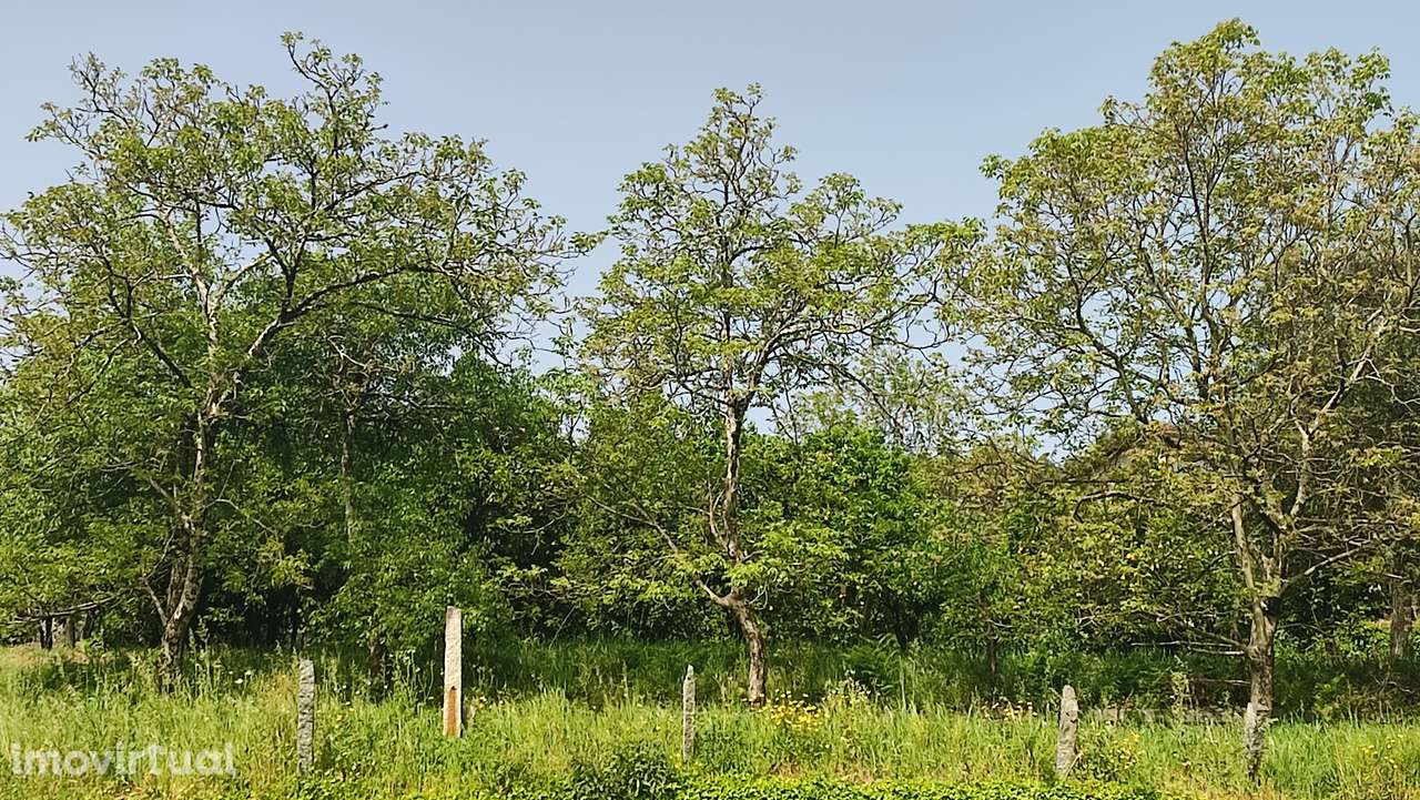 Terreno em Caires, Amares. - Grande imagem: 2/26