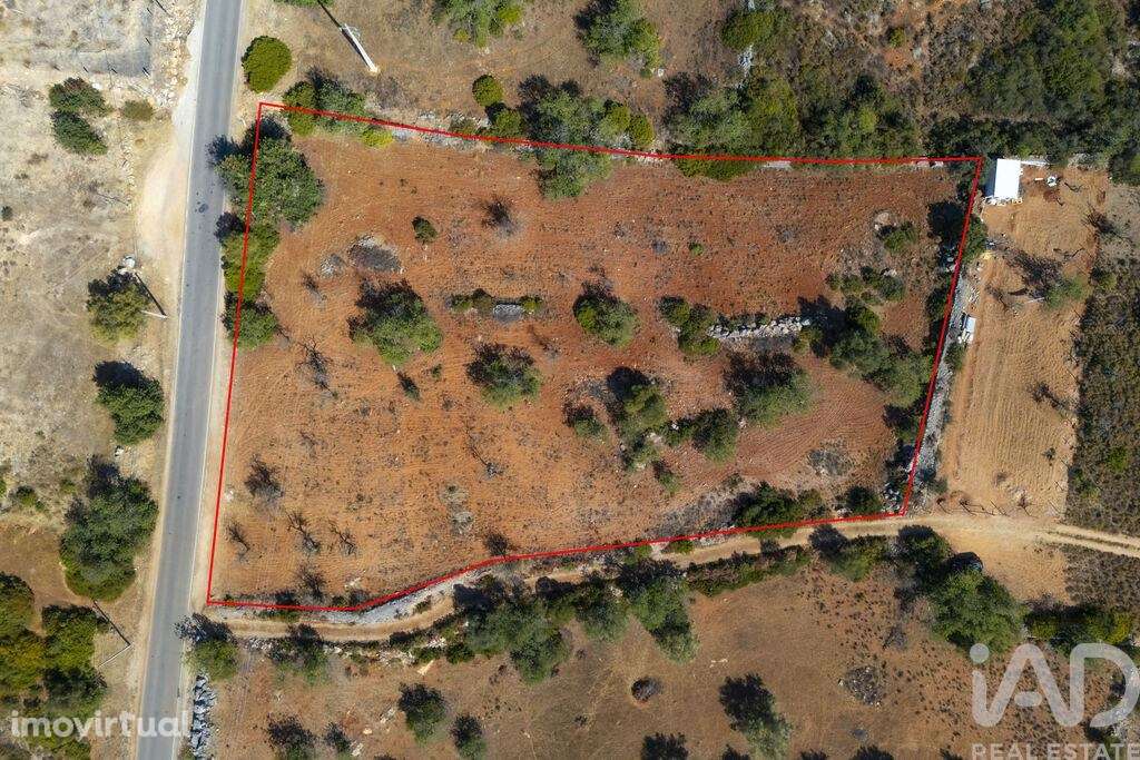 Terreno em Conceição e Estoi de 5480,00 m2 - Grande imagem: 3/30