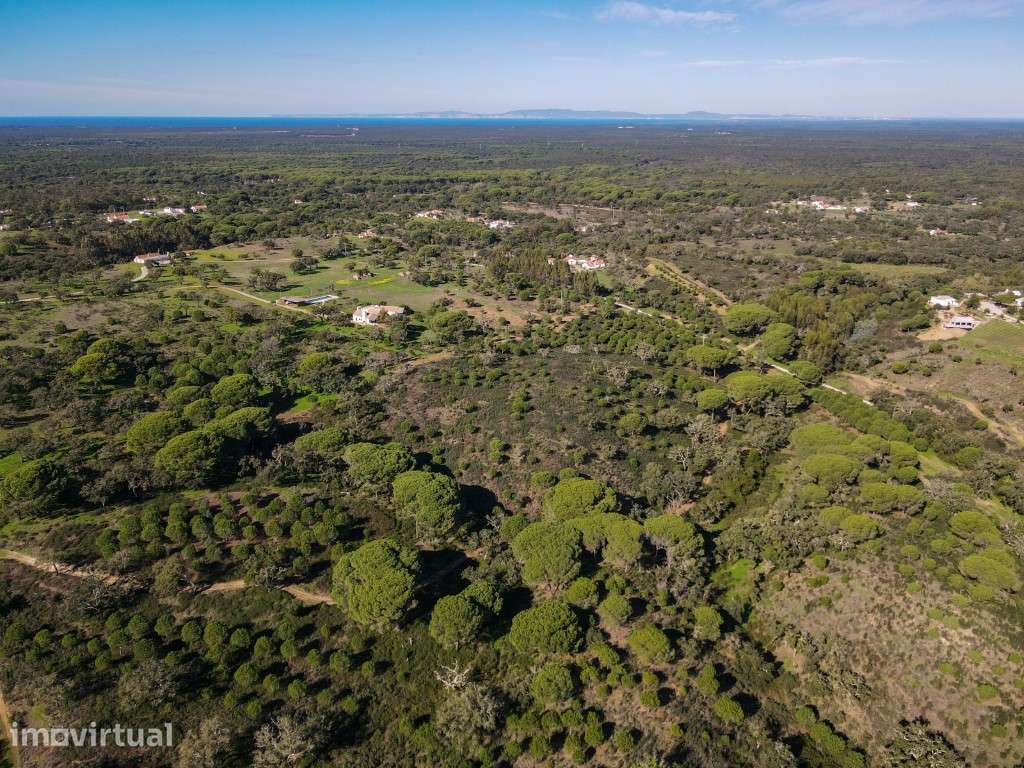 Terreno Exclusivo de 32 Hectares no Carvalhal - Grande imagem: 4/6