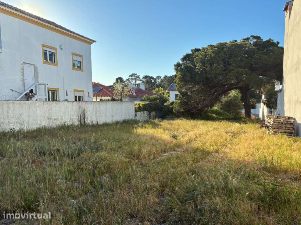Terreno para Construção no Carvalhal - Grande imagem: 3/36