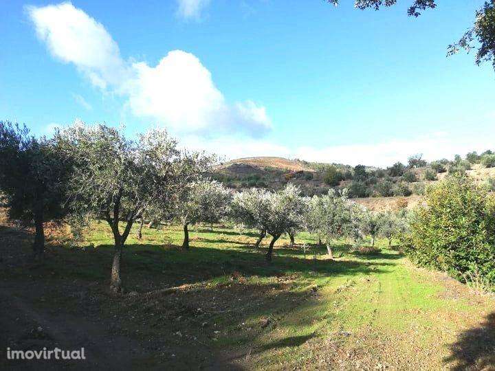 Quintinha em Ranhados - Grande imagem: 2/4