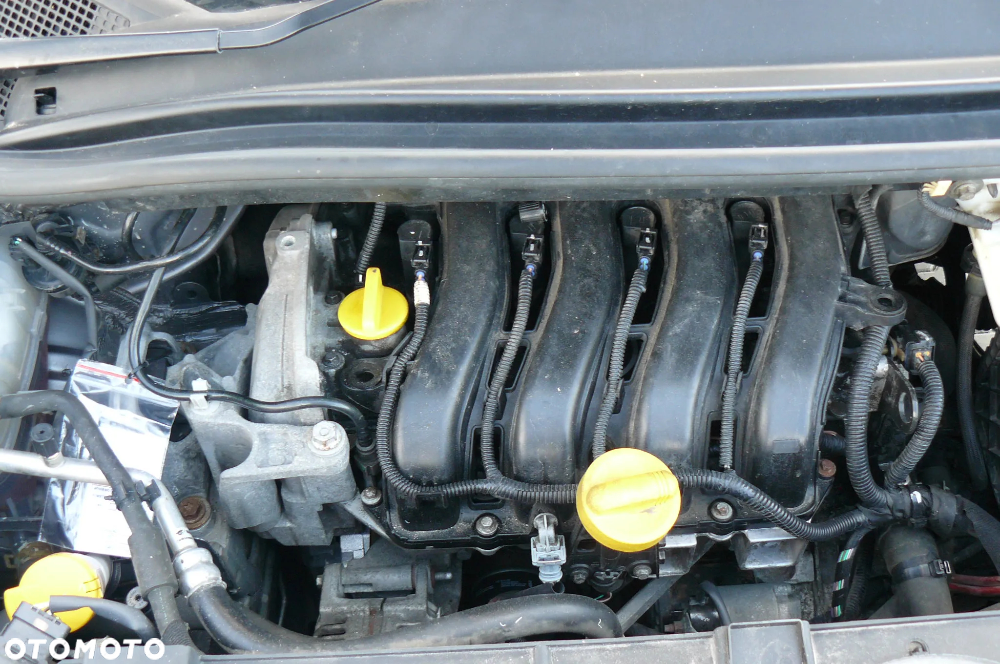Renault Scenic - 32