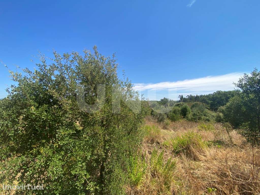 Terreno rústico com 1400m2 de área - Grande imagem: 2/4