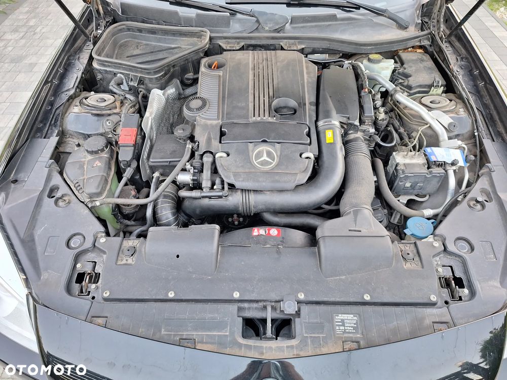 Mercedes-Benz SLK 200 (BlueEFFICIENCY) CarbonLOOK Edition - 18