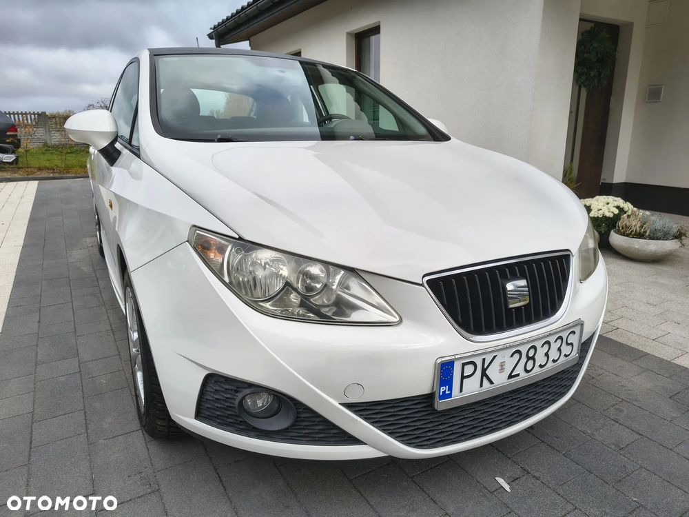 Seat Ibiza 2009 photo 2