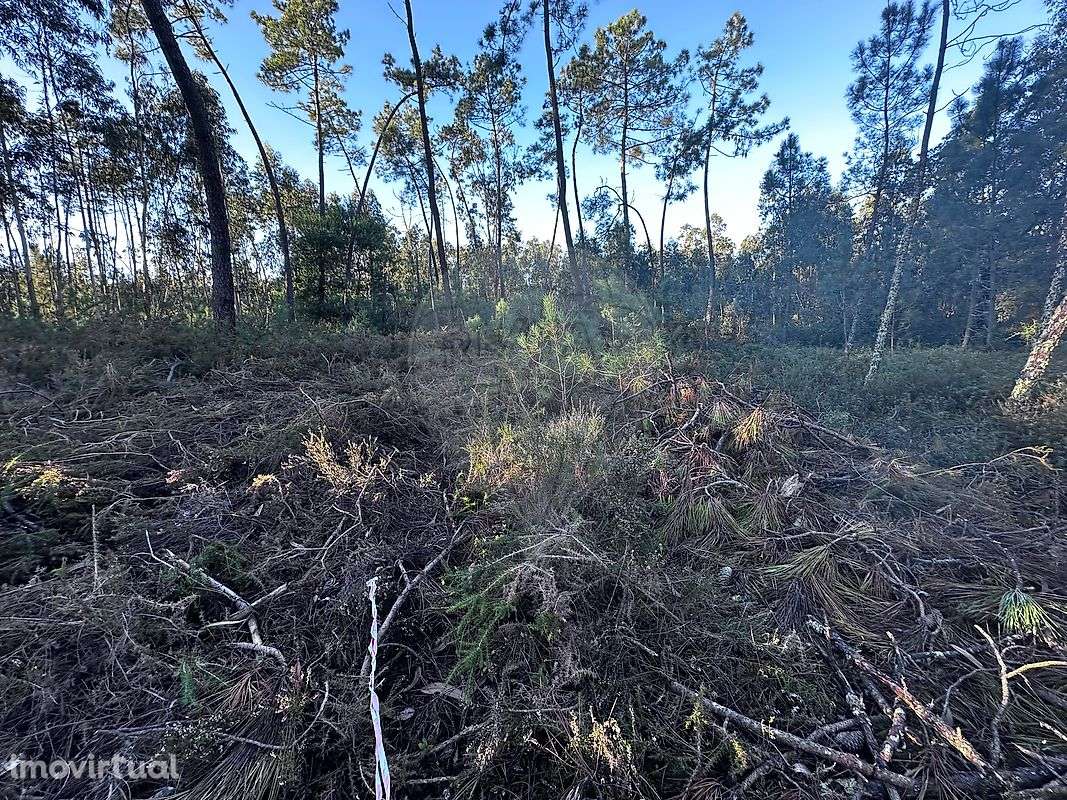 Terreno  para venda - Grande imagem: 3/19