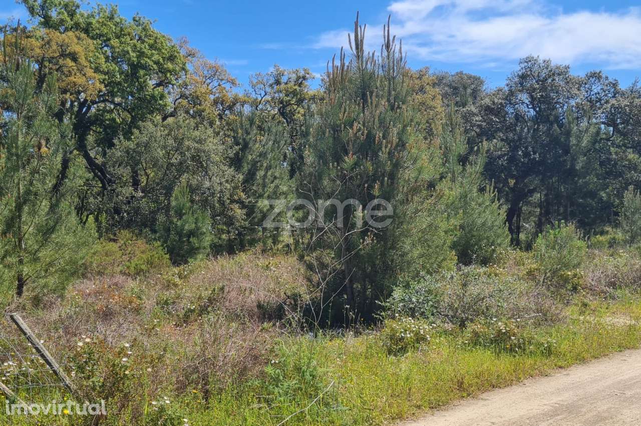 Terreno Monte do Lagarto | Lagoinha | Palmela - Grande imagem: 4/9