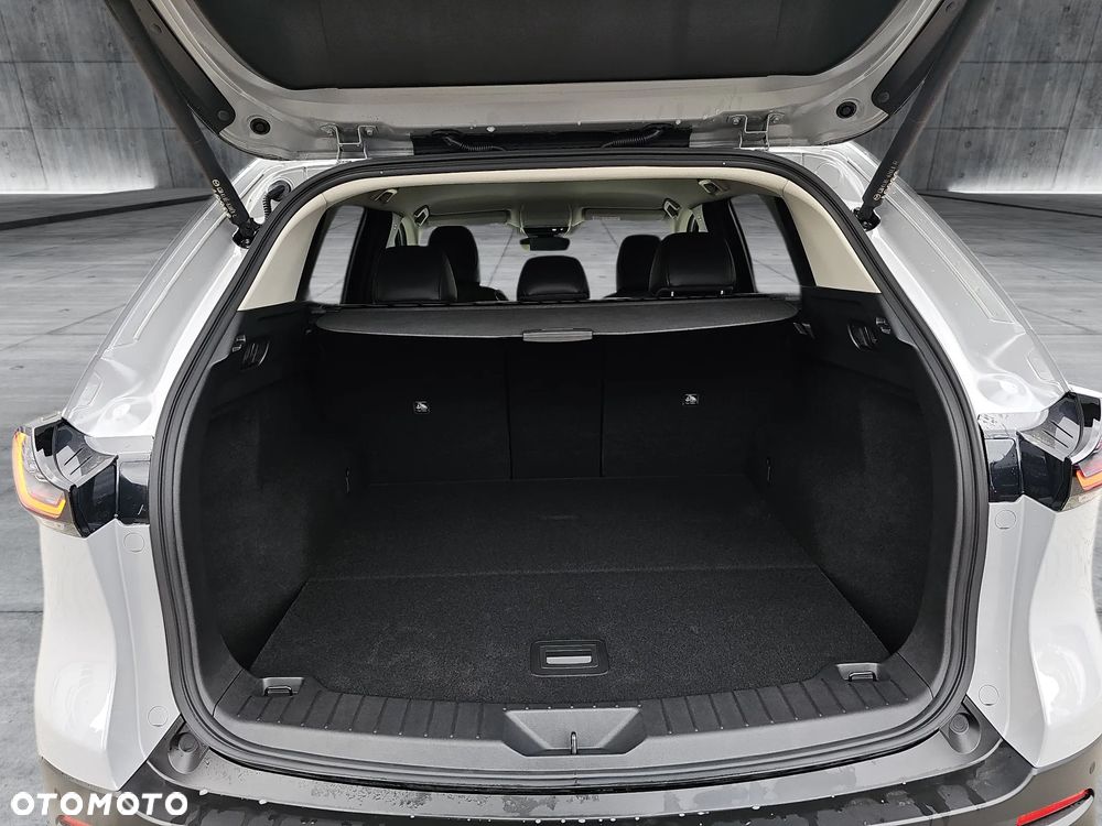 Mazda CX-5 - 19