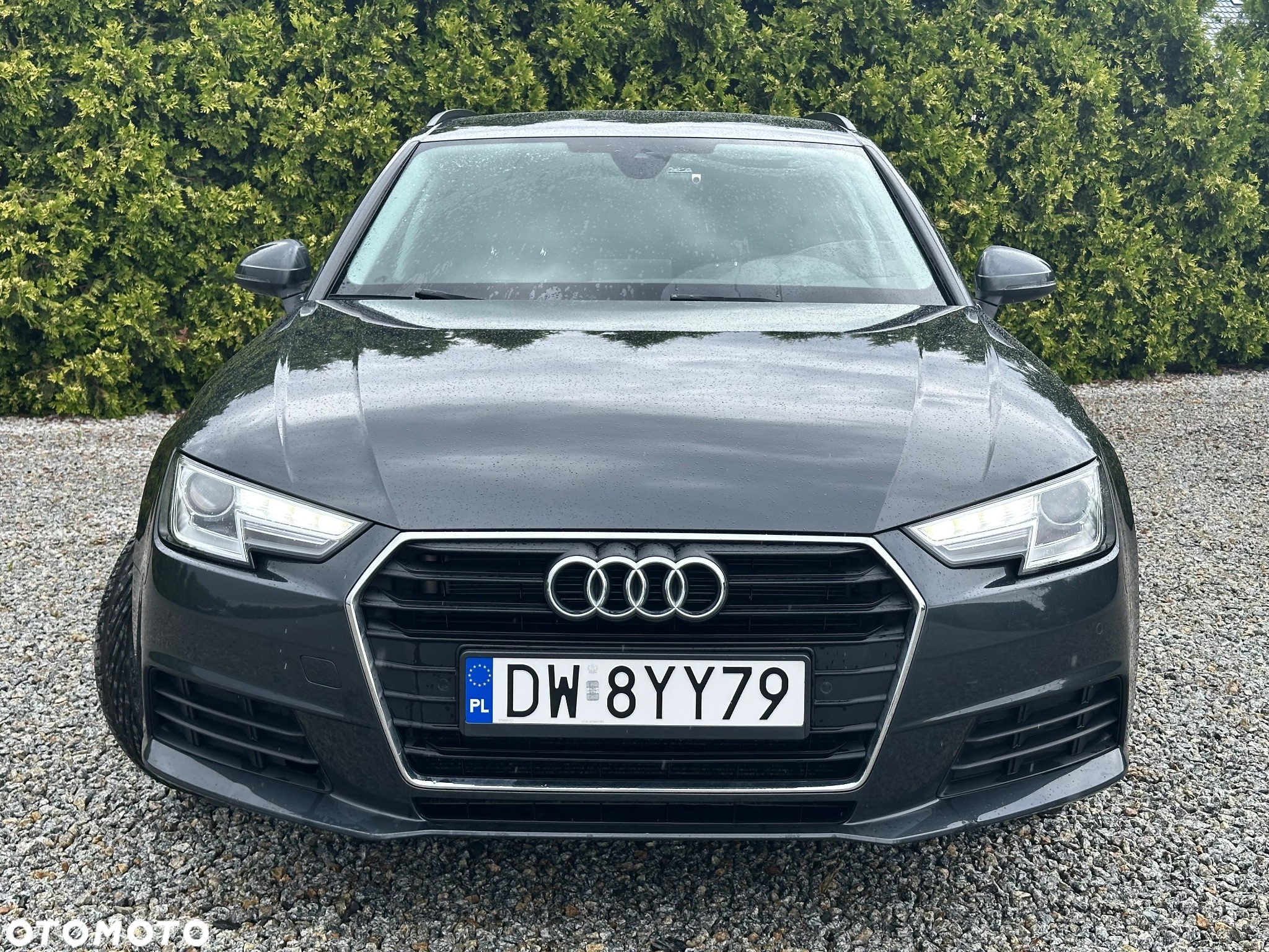 Audi A4 2.0 TDI Design S tronic - 2