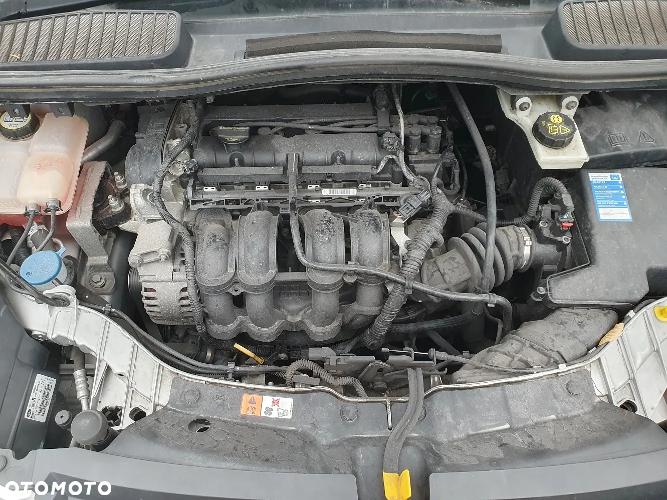 Ford C-MAX 1.6 Ti-VCT Titanium - 24