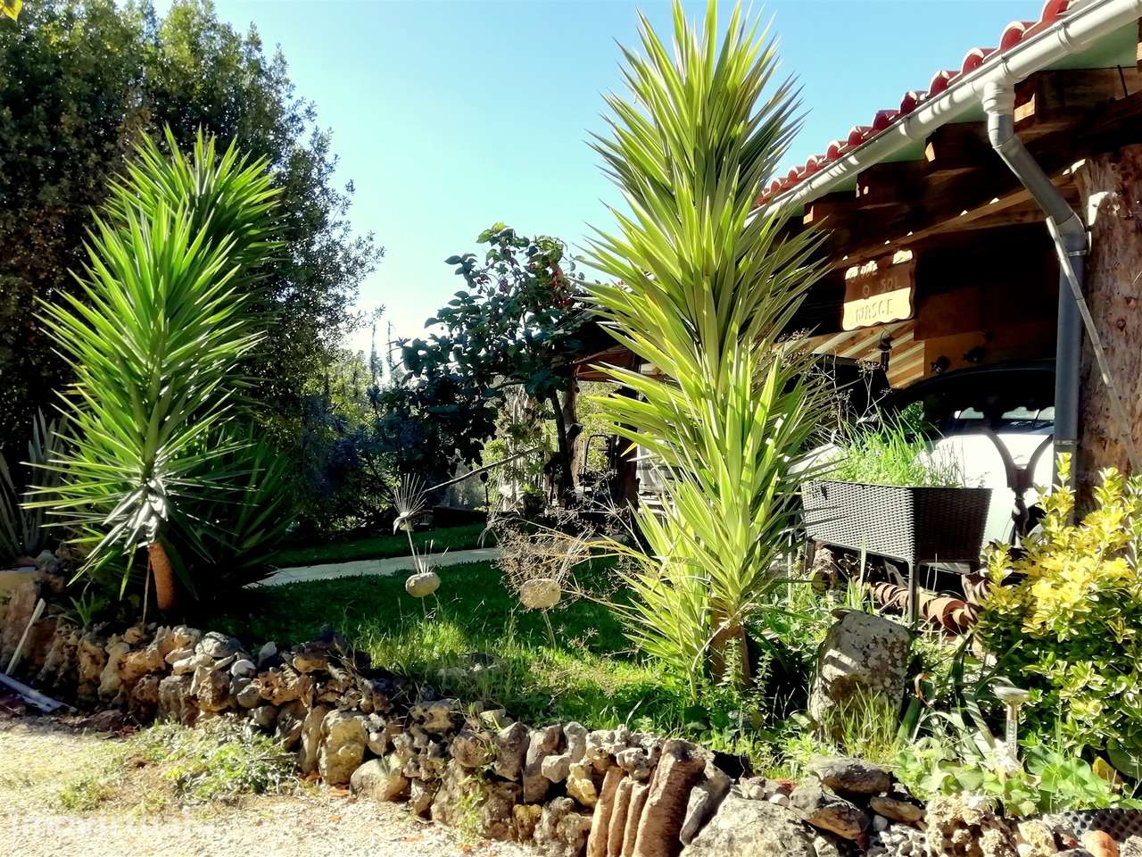 Herdade de 15 ha - Figueira da Foz! - Grande imagem: 2/60