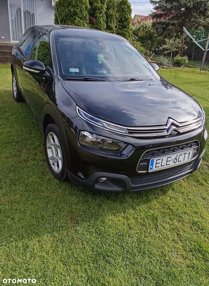 Citroën C4 Cactus - 13