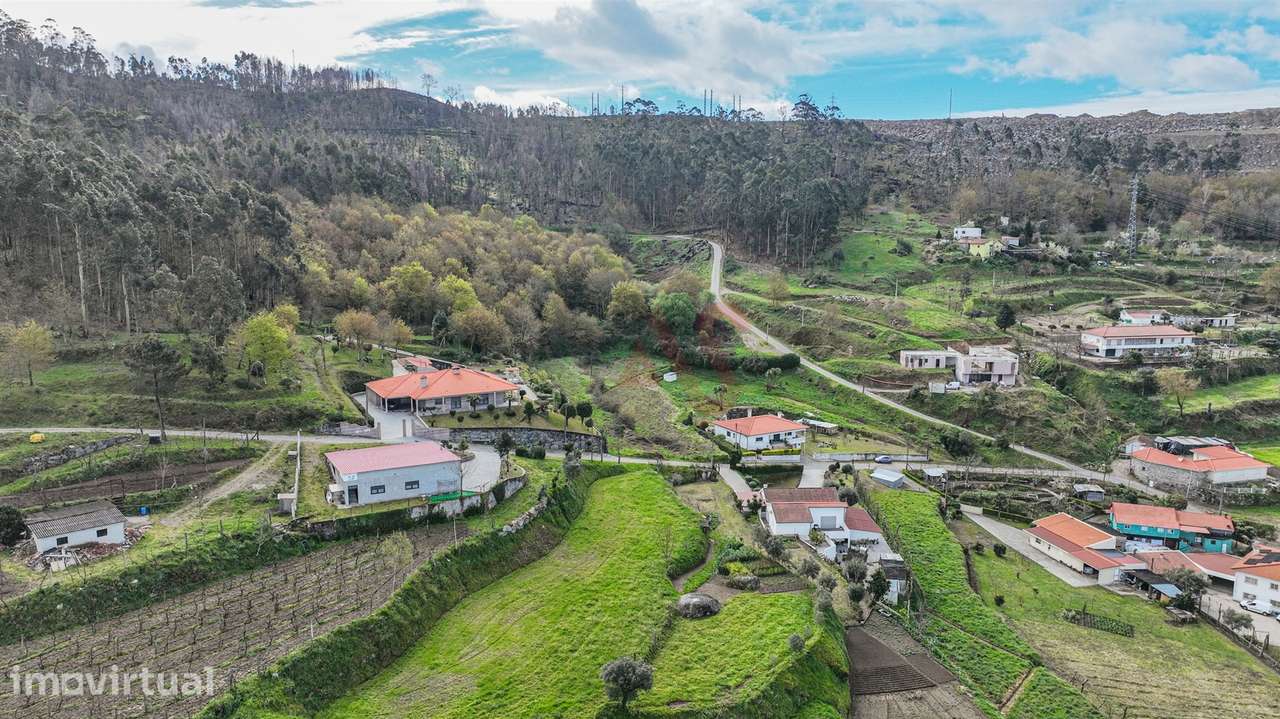 Terreno Rústico com 3.138,34 m² em Penacova, Felgueiras - Grande imagem: 3/15