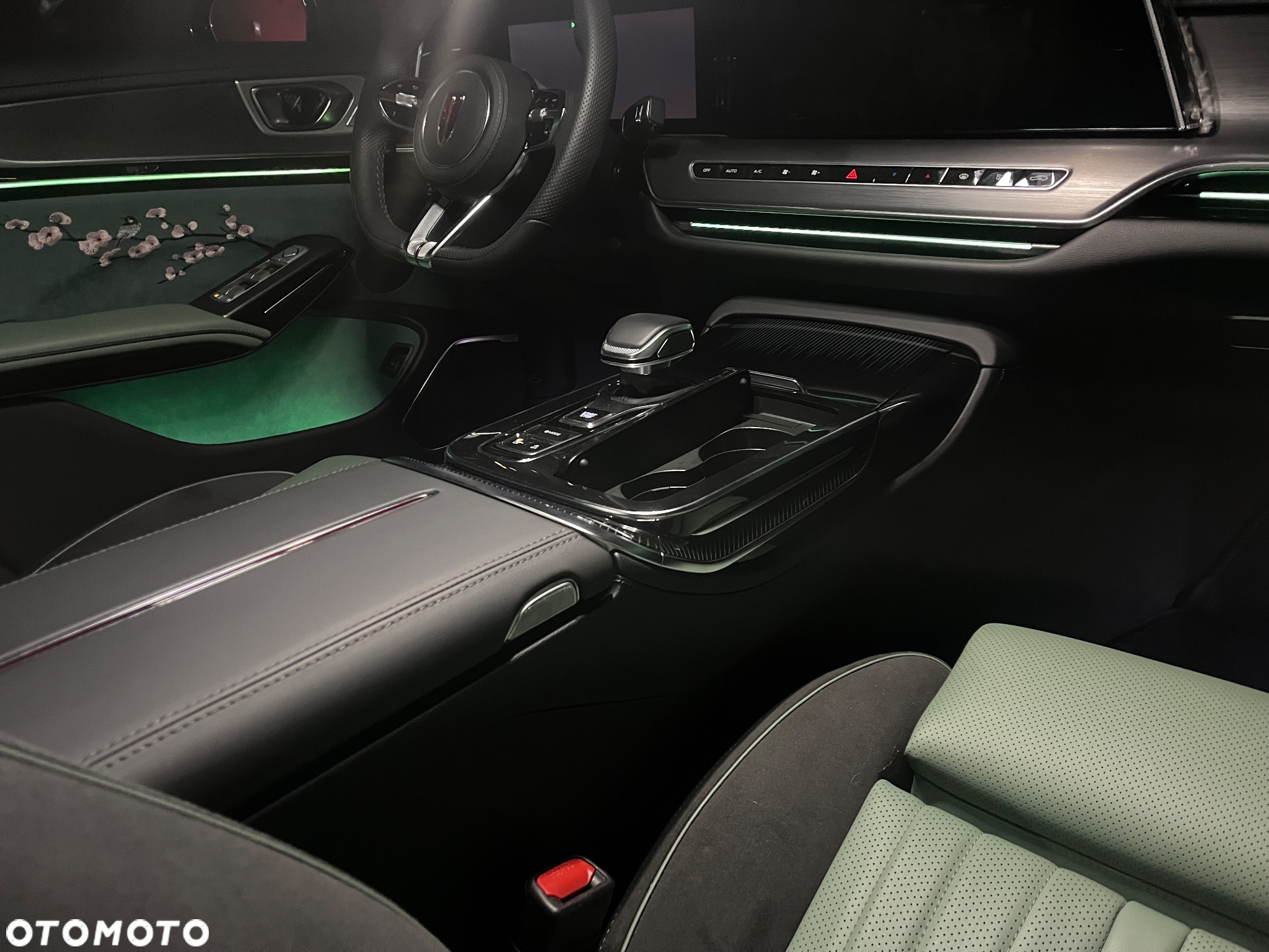 Hongqi H9 2.0T Deluxe - 17