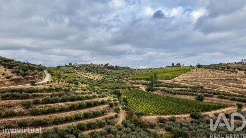 Quinta agricola em Cedovim de 94323 m2 - Grande imagem: 2/22