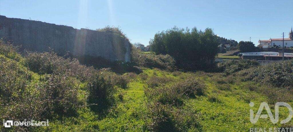Terreno Agrícola em Guilhabreu - Grande imagem: 5/33