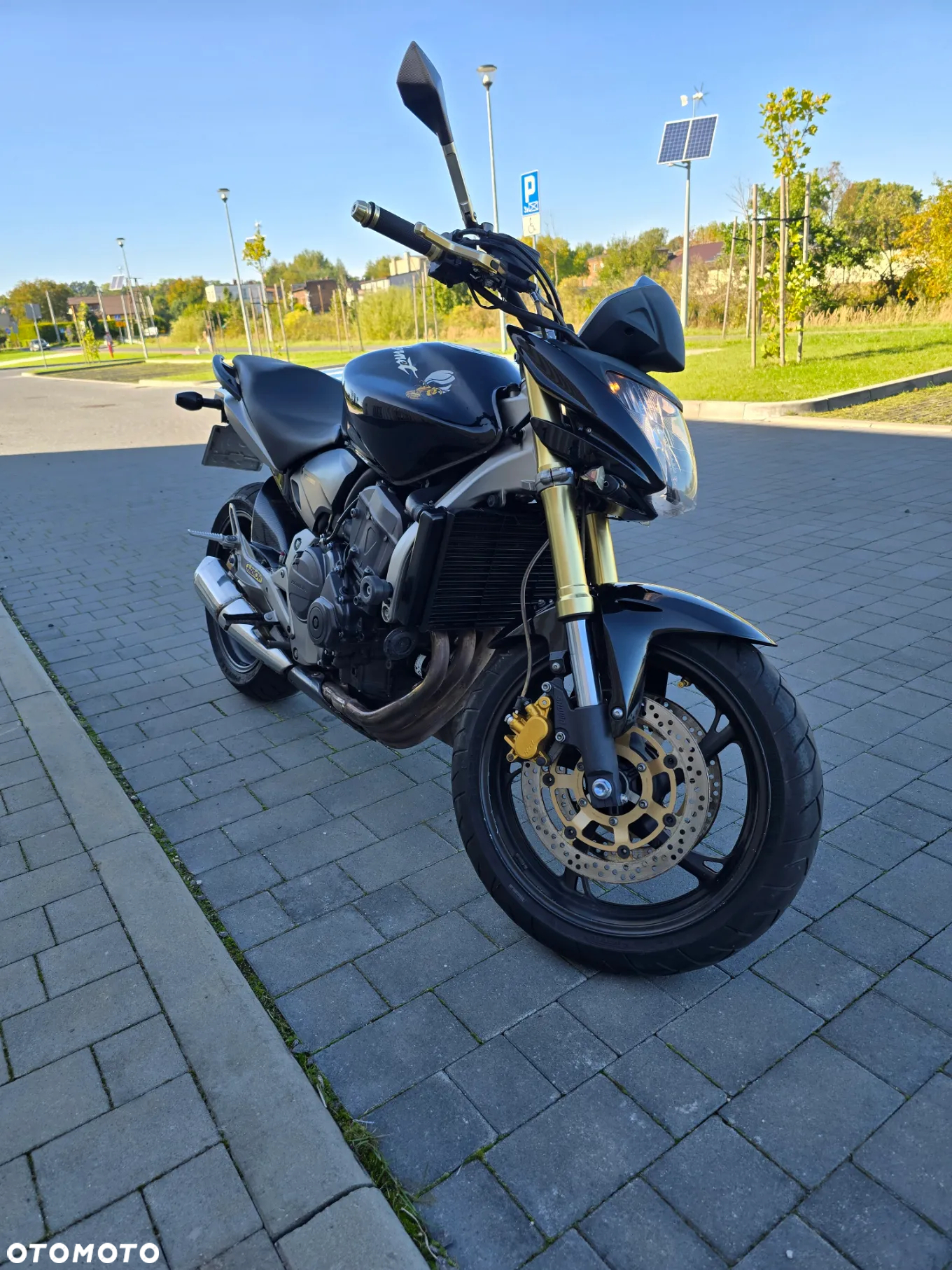 Honda Hornet - 10