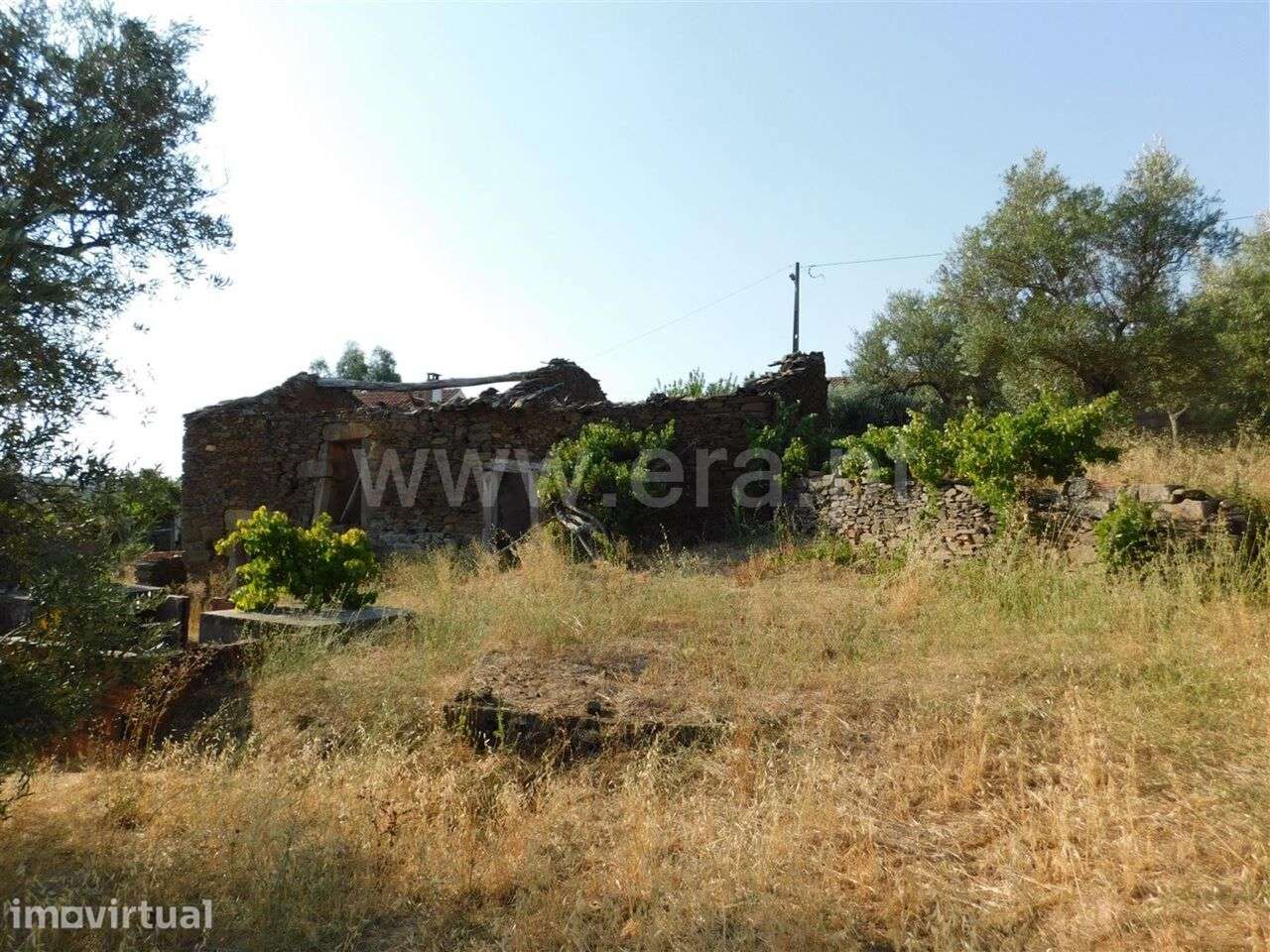 Terreno com ruina / Fundão, Enxames - Grande imagem: 4/5