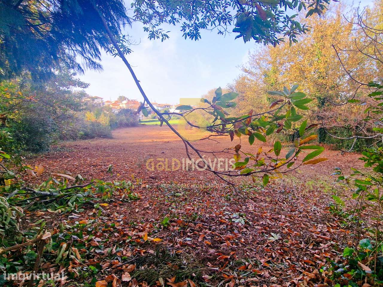 Terreno Rústico  Venda em Vila de Cucujães,Oliveira de Azeméis - Grande imagem: 2/12