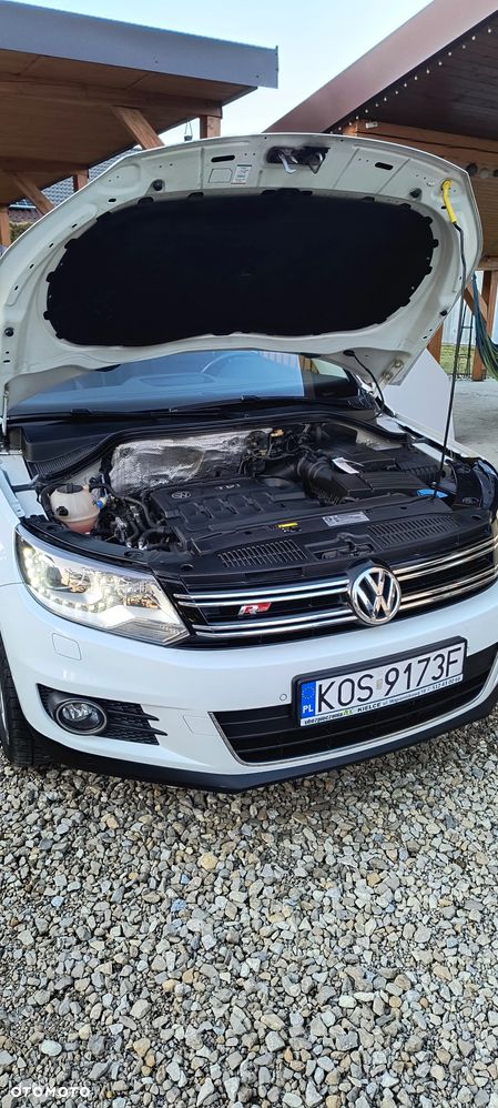 Volkswagen Tiguan - 19