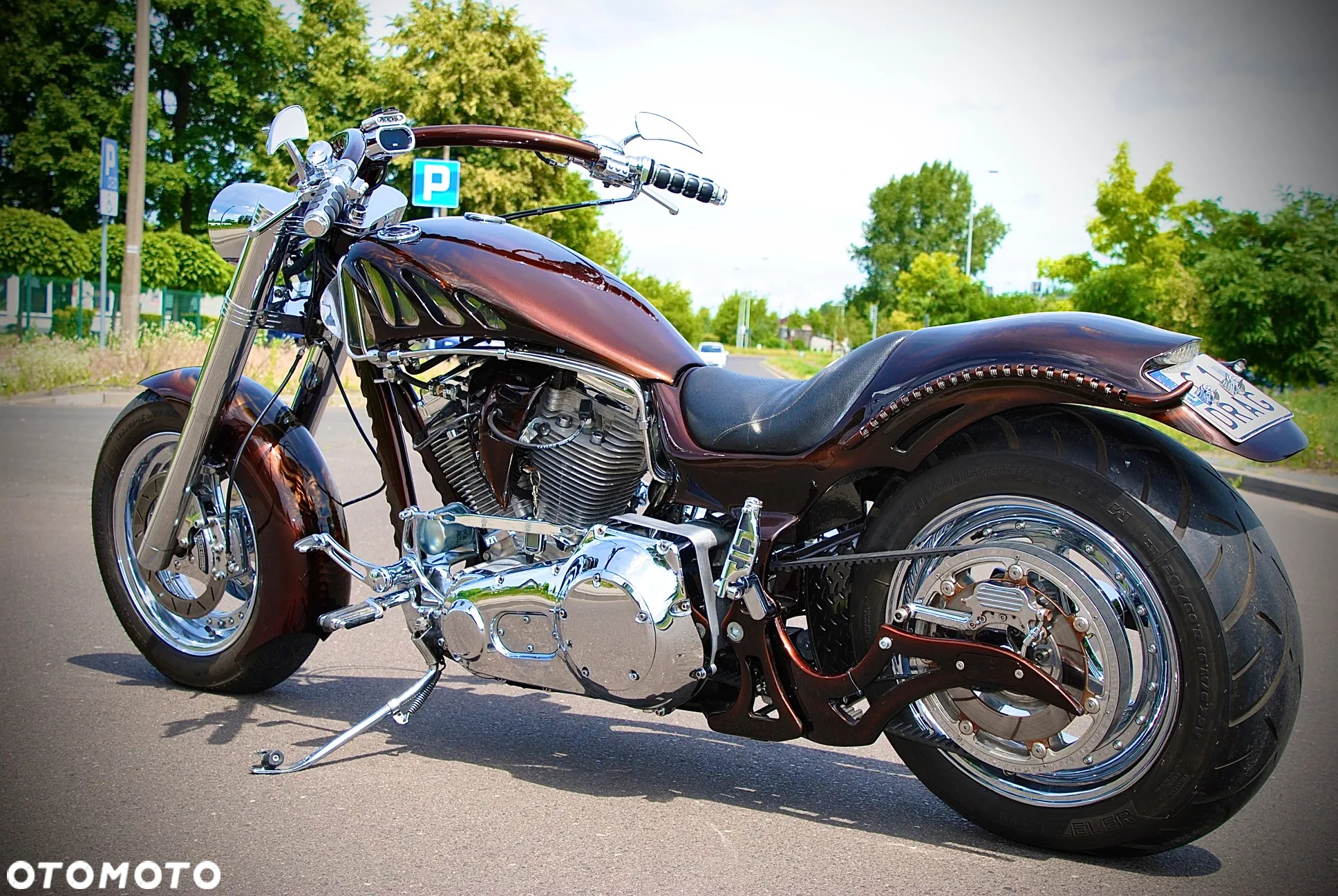 Harley-Davidson Softail Custom - 2