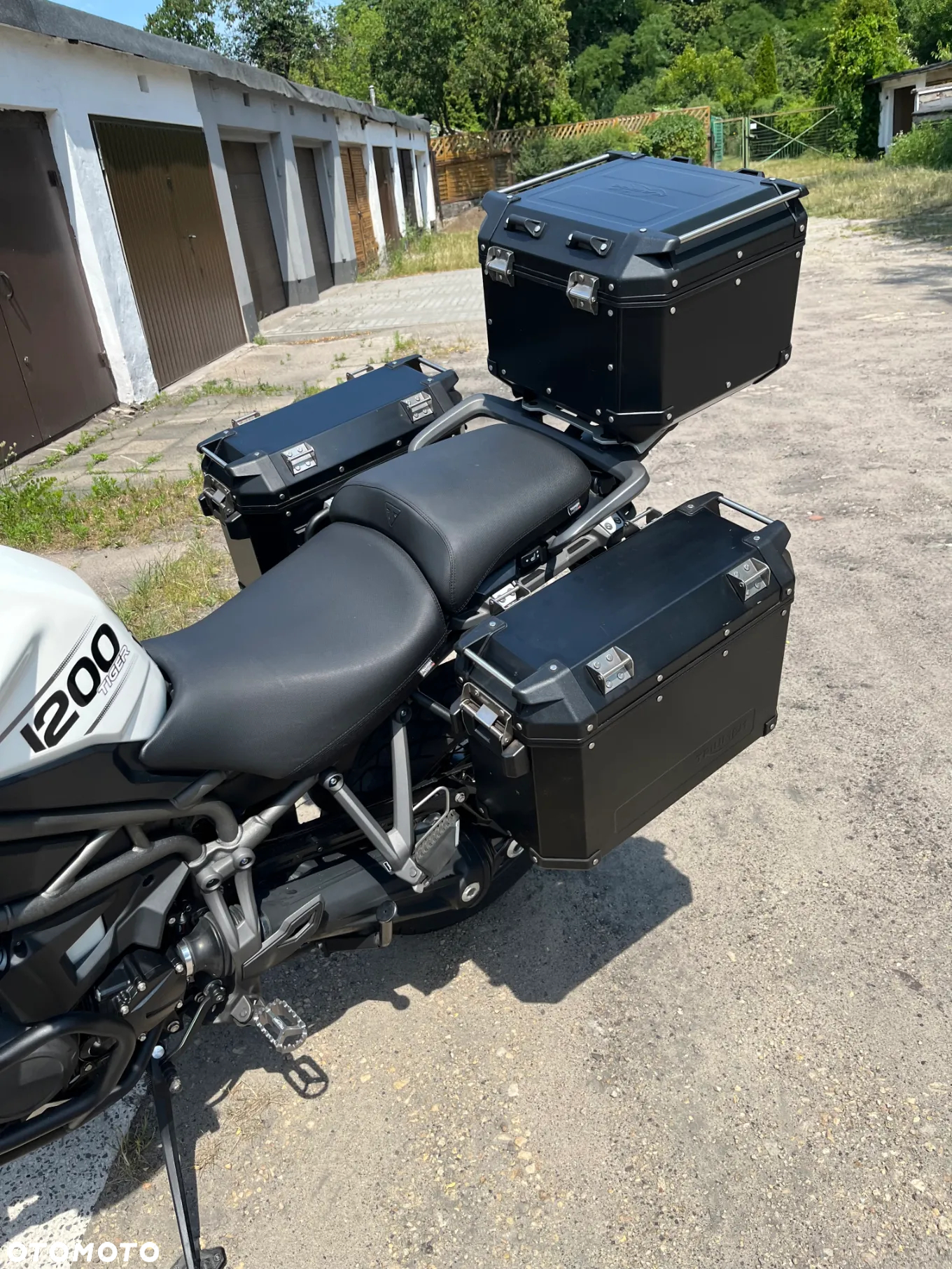 Triumph Tiger - 4
