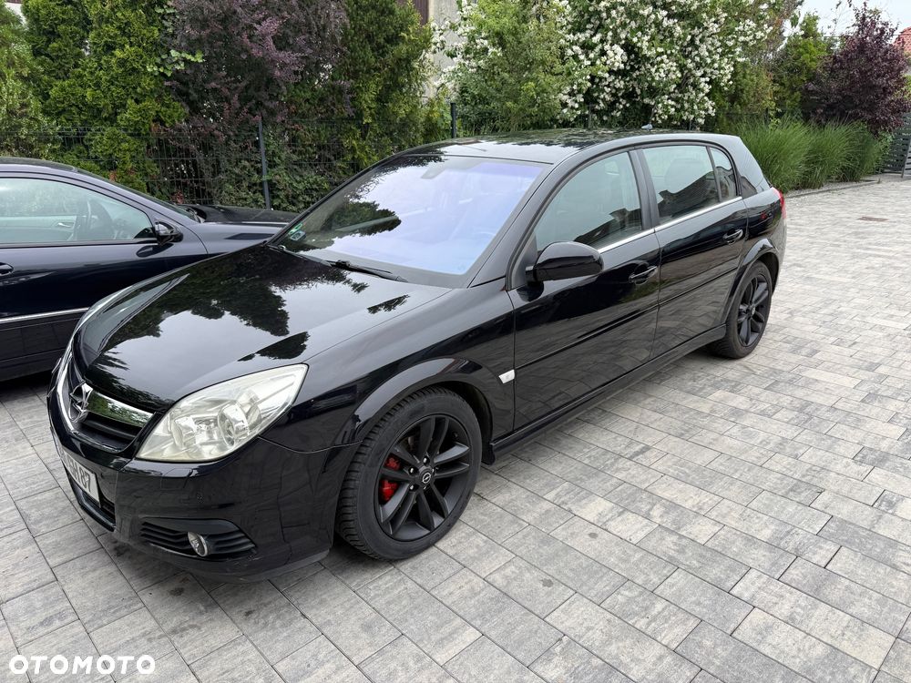 Opel Signum - 24