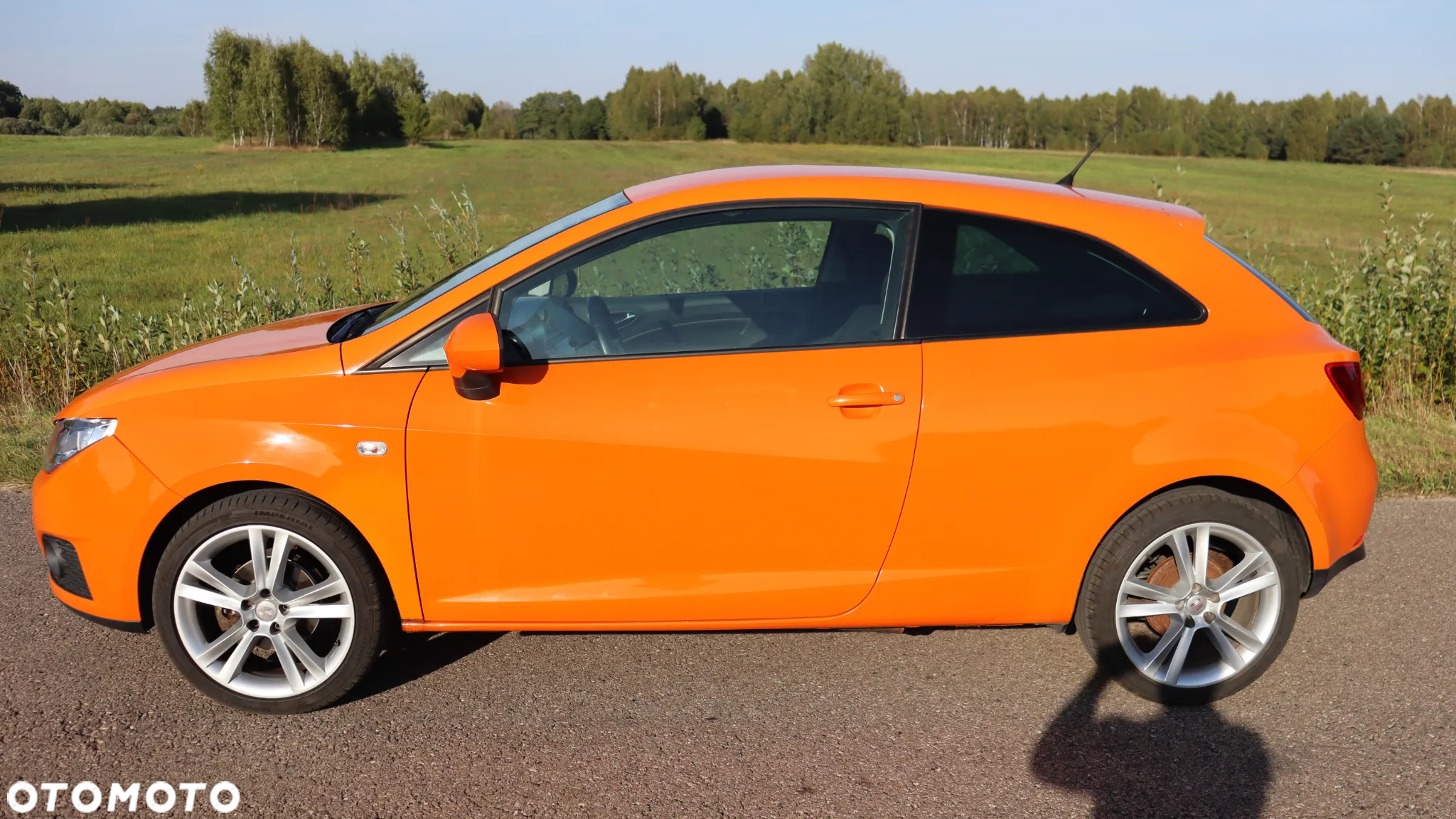 Seat Ibiza - 5
