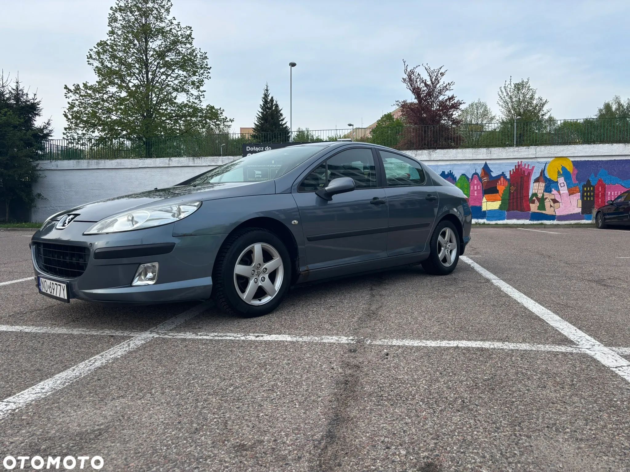 Peugeot 407 - 1