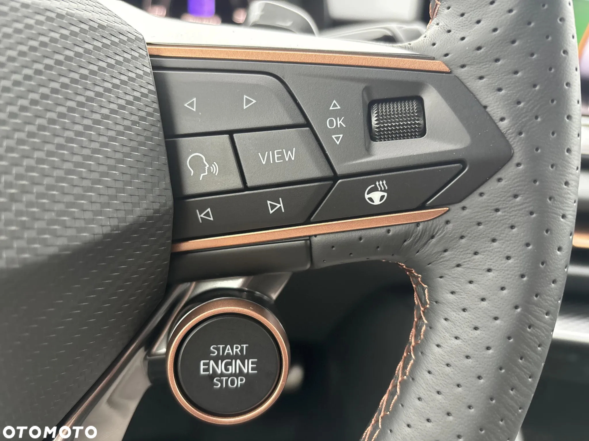 Cupra Terramar 2.0 TSI 4Drive DSG - 21