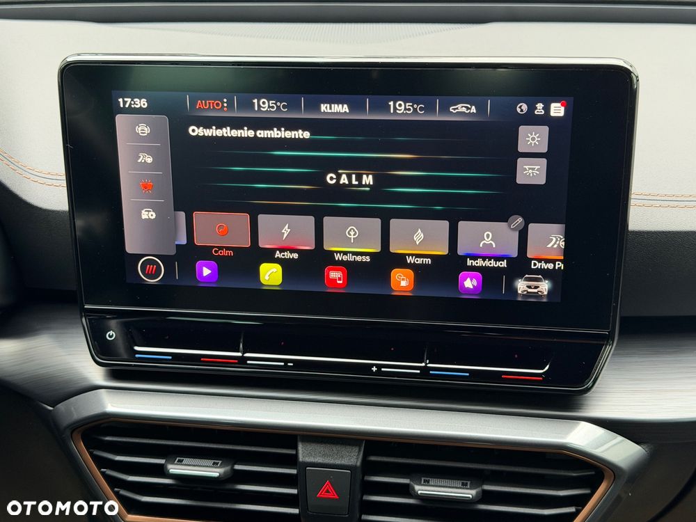 Cupra Formentor 1.5 TSI DSG - 15