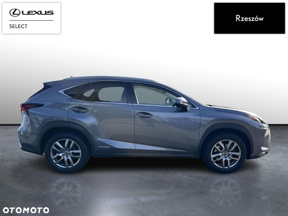 Lexus NX - 6