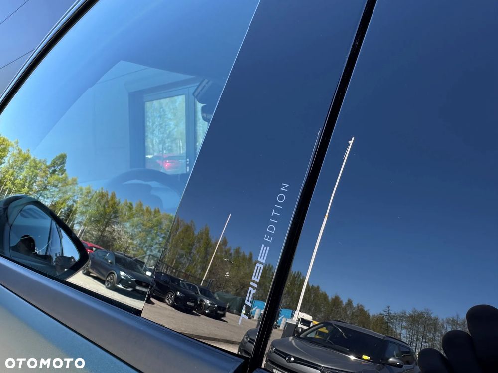 Cupra Terramar 2.0 TSI 4Drive DSG Tribe Edition - 6