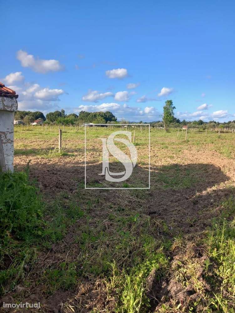 Terreno Para Construção - Abrantes - Rossio - Grande imagem: 2/3