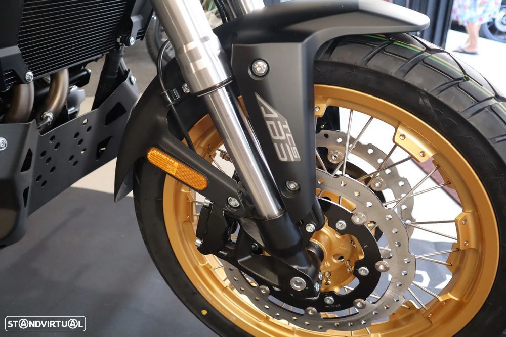 Cyclone RA600 EXPLORER - 5