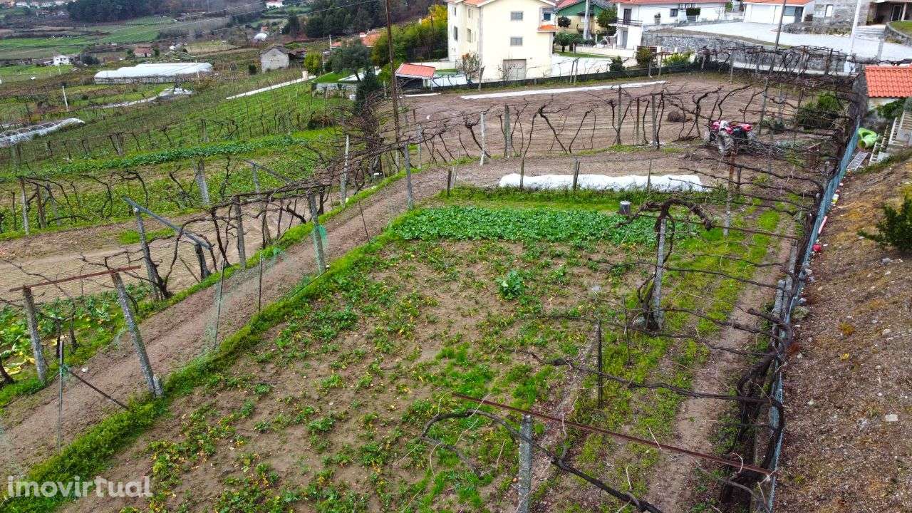 Terreno c/ capacidade de construção Figueiró – Amarante - Grande imagem: 5/16