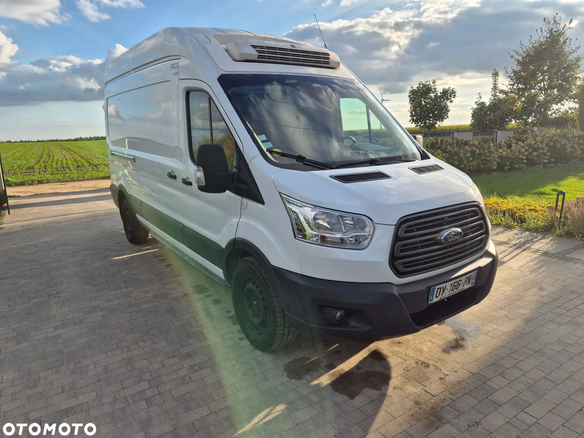 Ford Transit - 1
