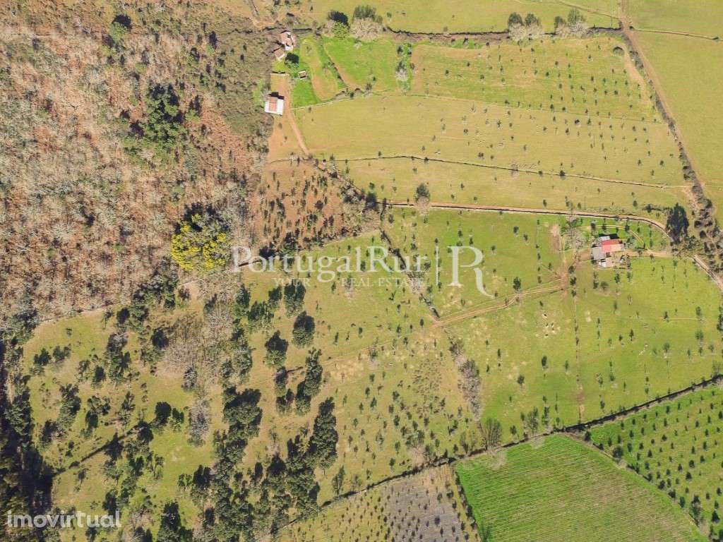 Quinta de 9 hectares em Marvão - Grande imagem: 2/60