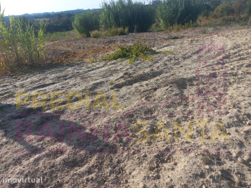 Terreno rustico com 1 Hectare-Cartaxo - Grande imagem: 3/8