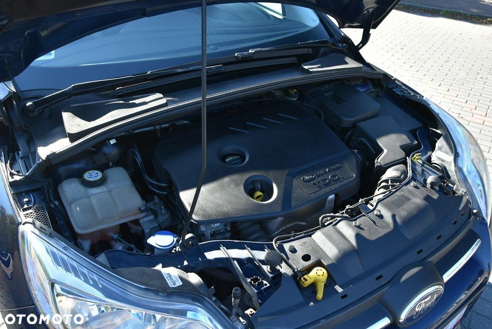 Ford Focus - 31