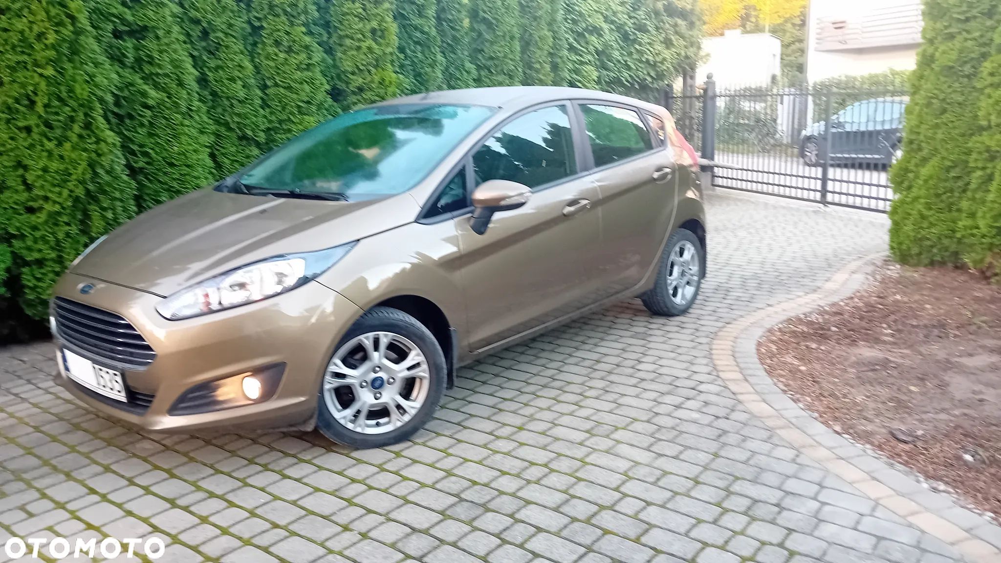 Ford Fiesta 1.25 Gold X EU6 - 1