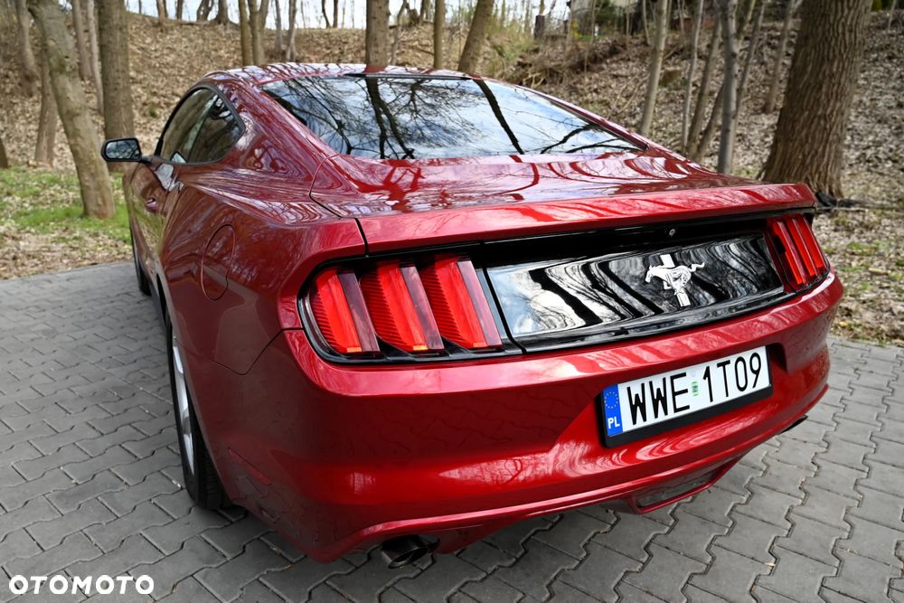 Ford Mustang - 20