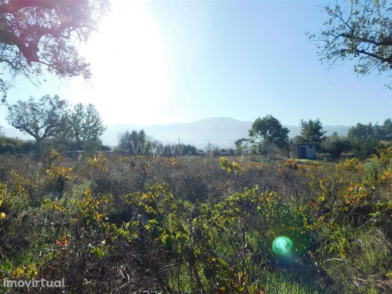 Terreno / Seia, Santa Marinha e São Martinho - Grande imagem: 2/15