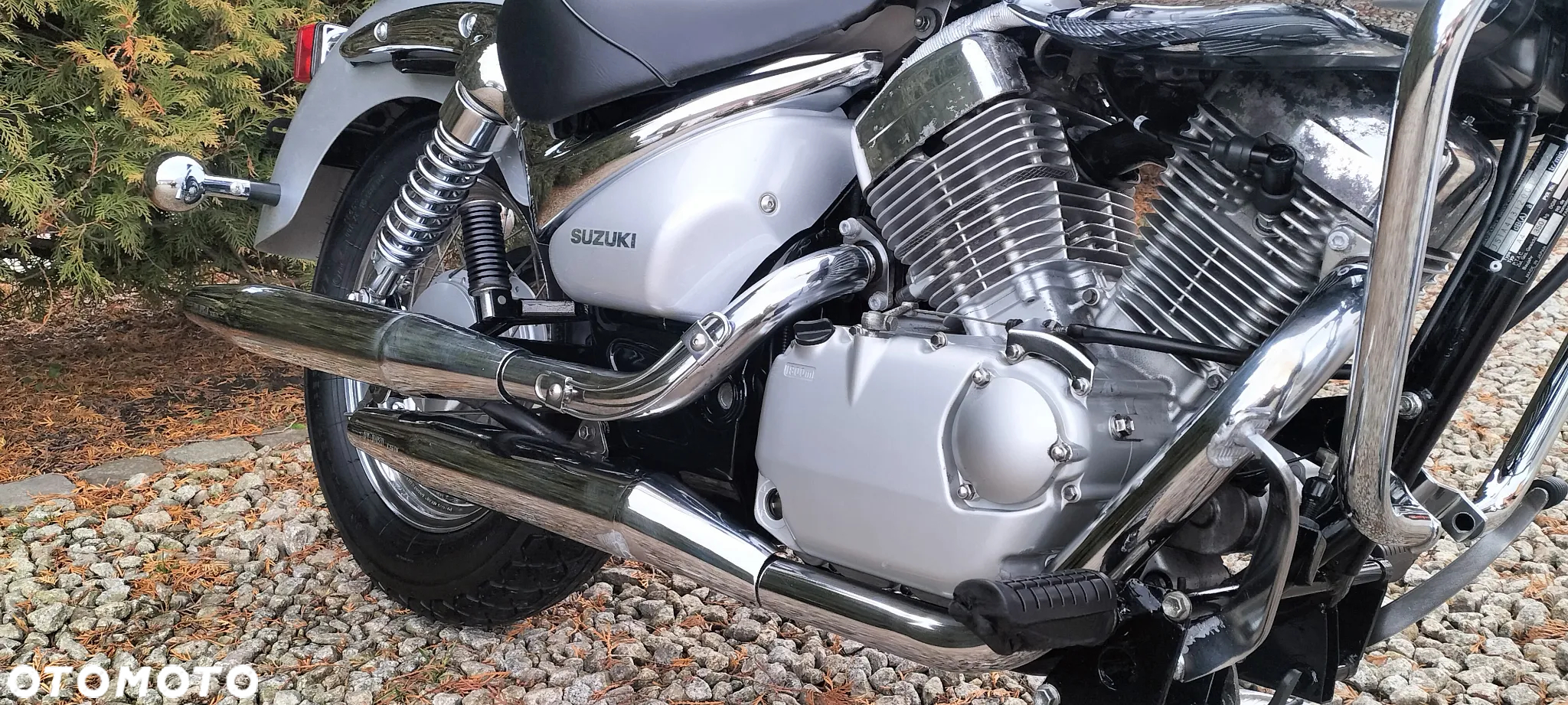 Suzuki Intruder - 8