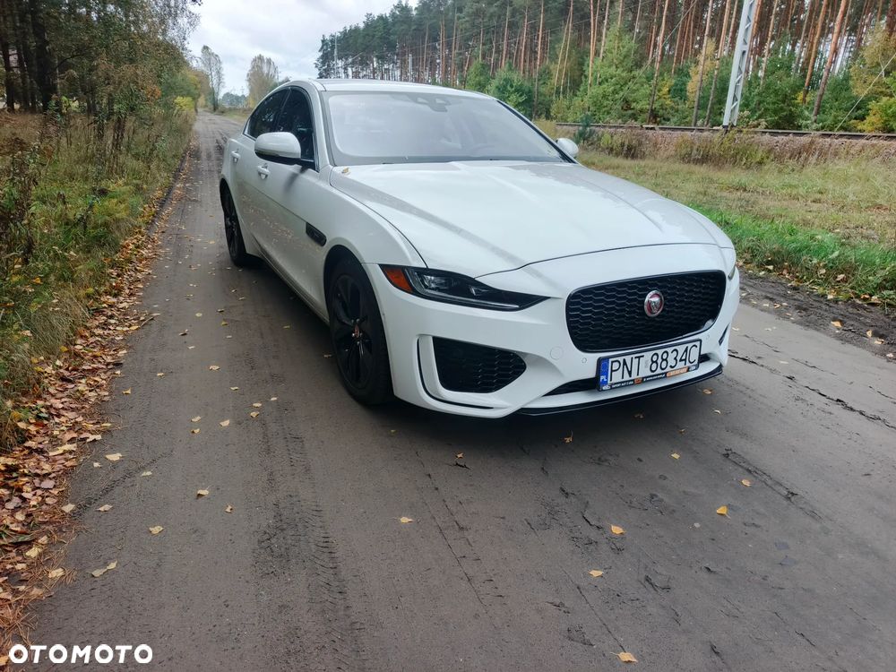 Jaguar Xe 2019 photo 3