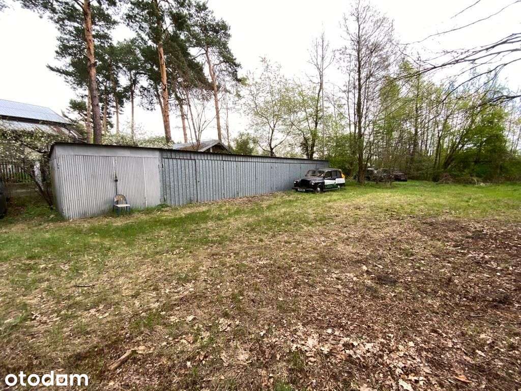Aleksandrów Wawer 3222m2 działka z domem - Pełny obrazek: 5/20