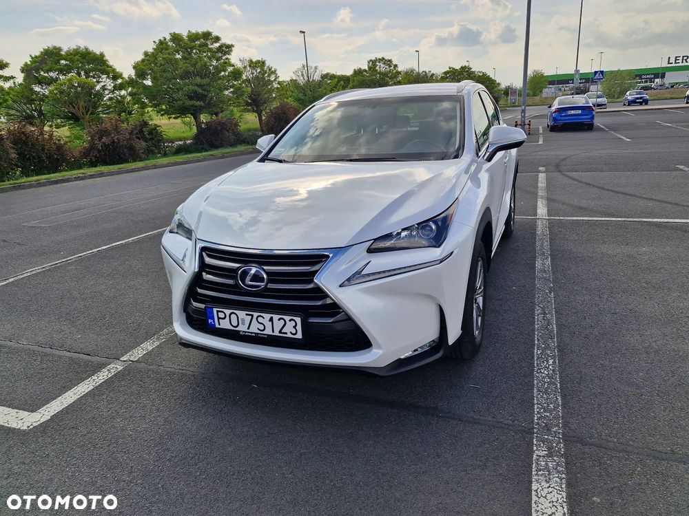 Lexus NX 300h Elite AWD - 6