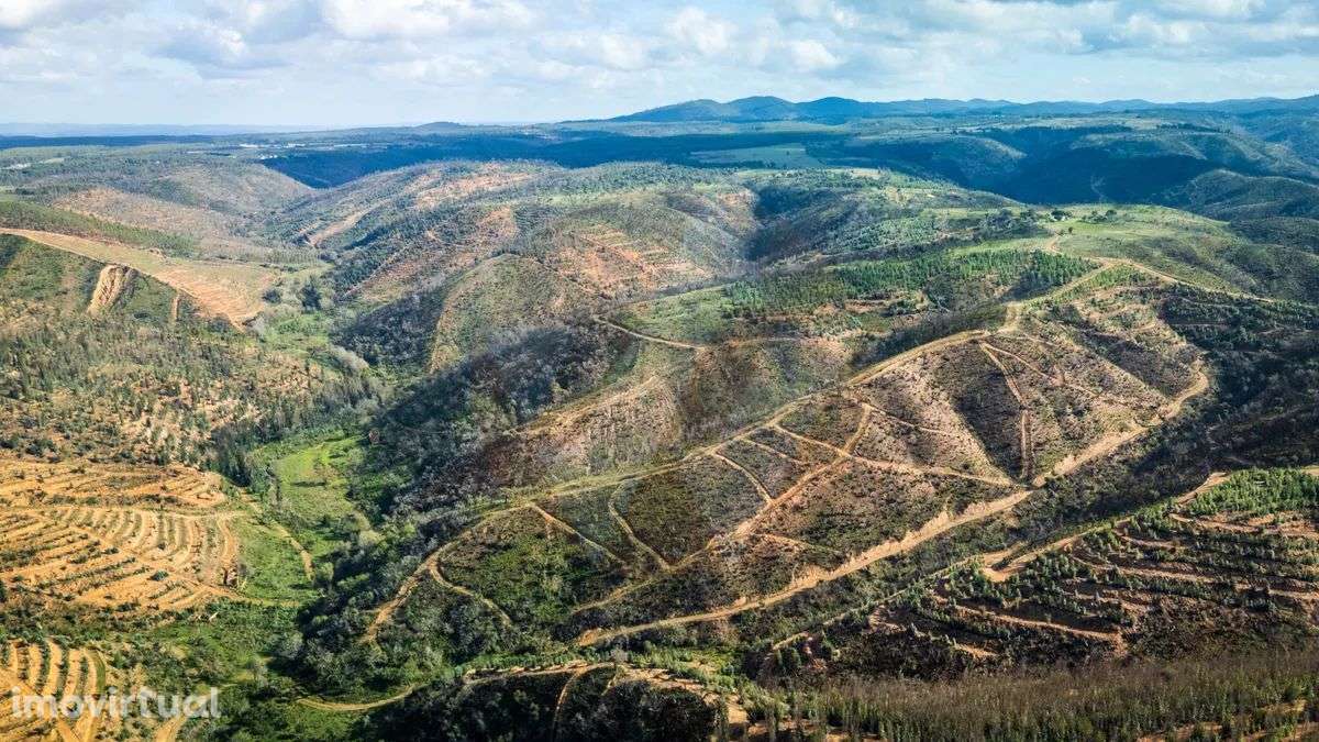 PROPRIEDADE RURAL COM POTÊNCIAL TURÍSTICO - Grande imagem: 2/12