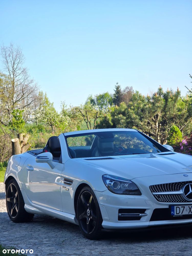 Mercedes-Benz SLK 250 CDI (BlueEFFICIENCY) 7G-TRONIC - 19