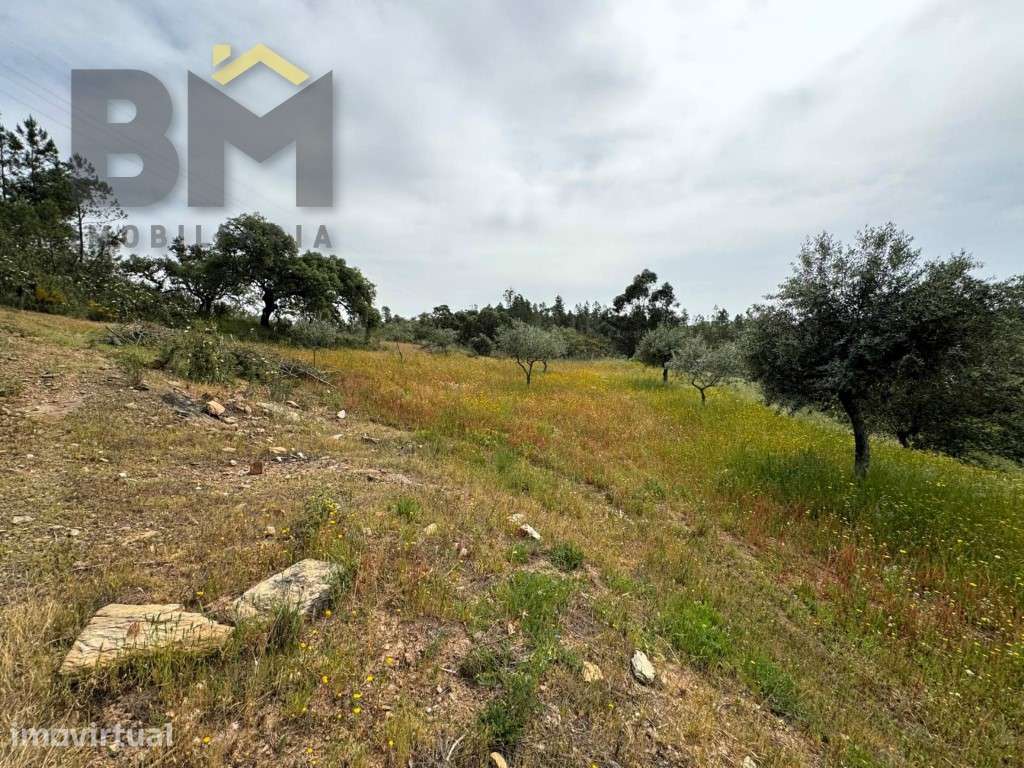 Terreno rústico com 13.640 m² para venda, localizado nas proximidad... - Grande imagem: 5/12